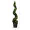 4ft. LED UV Resistant Boxwood Spiral Topiary Tree in Decorative Planter